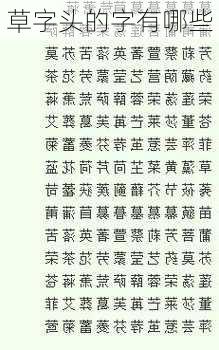 草字头的字有哪些