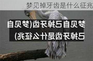 梦见掉牙齿是什么征兆