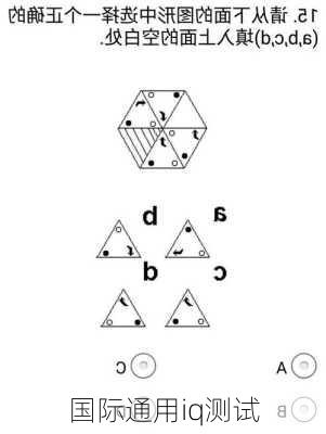 国际通用iq测试