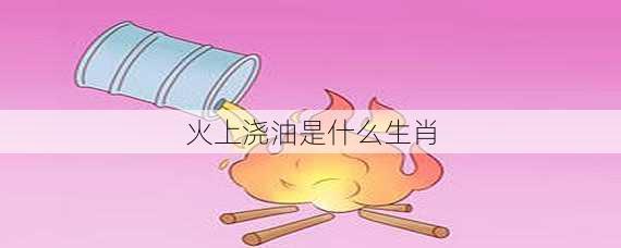 火上浇油是什么生肖