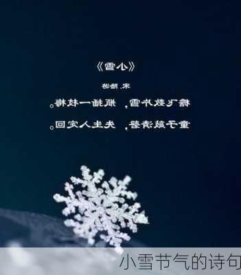 小雪节气的诗句