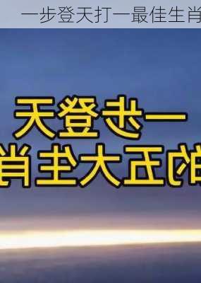 一步登天打一最佳生肖