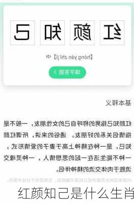 红颜知己是什么生肖