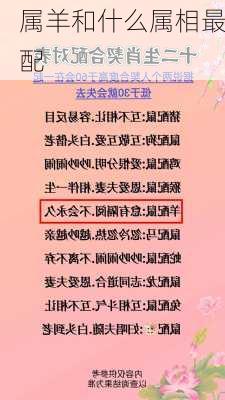 属羊和什么属相最配