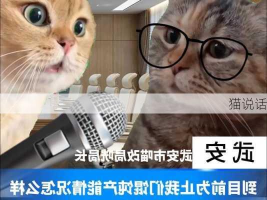 猫说话