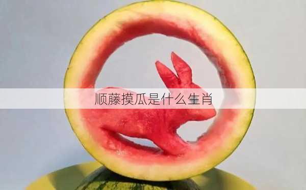 顺藤摸瓜是什么生肖