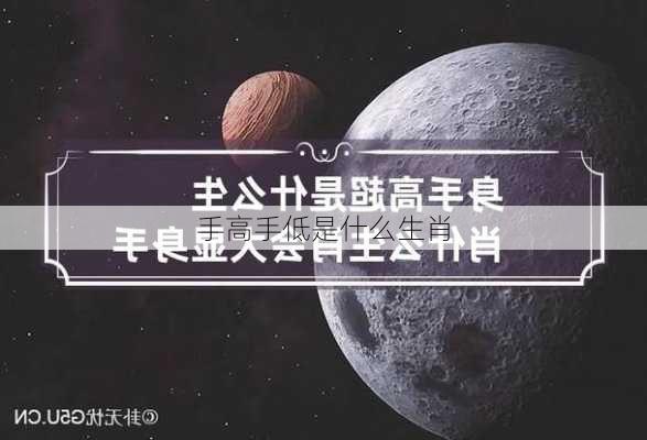 手高手低是什么生肖