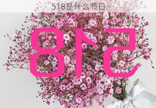 518是什么节日