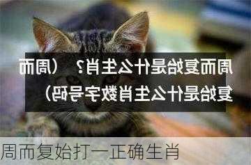 周而复始打一正确生肖