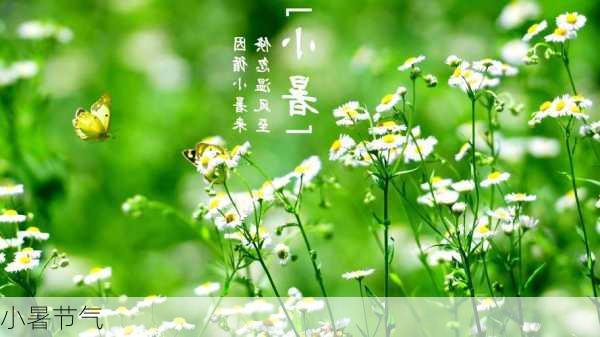 小暑节气