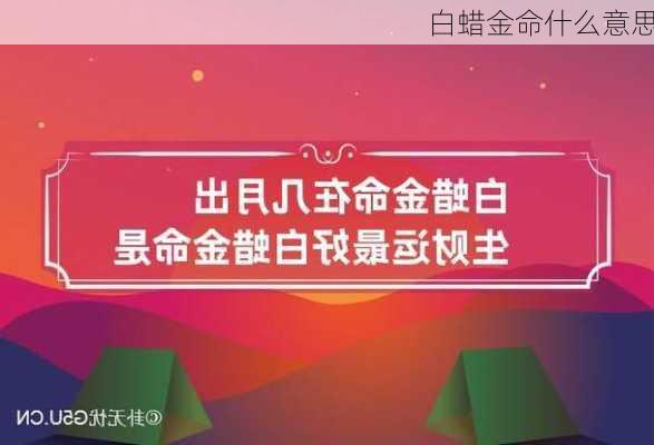 白蜡金命什么意思