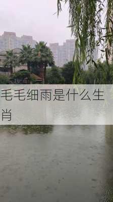 毛毛细雨是什么生肖