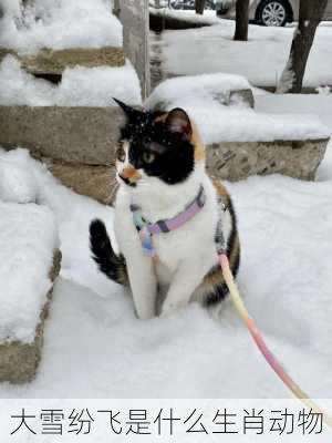 大雪纷飞是什么生肖动物