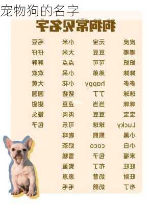 宠物狗的名字