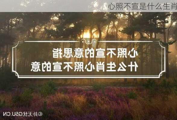 心照不宣是什么生肖