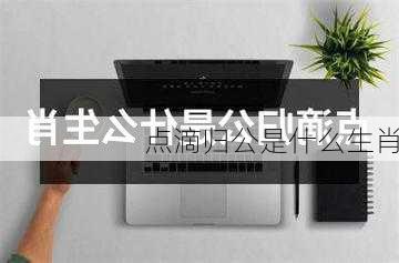 点滴归公是什么生肖