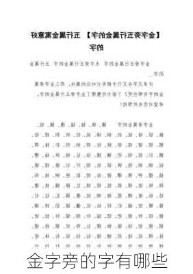 金字旁的字有哪些