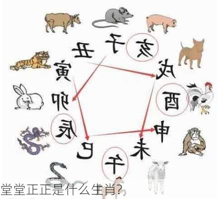 堂堂正正是什么生肖?