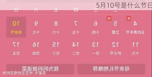 5月10号是什么节日