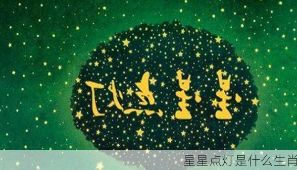 星星点灯是什么生肖