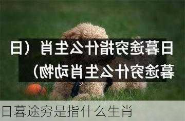 日暮途穷是指什么生肖