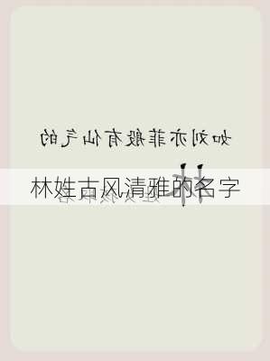 林姓古风清雅的名字