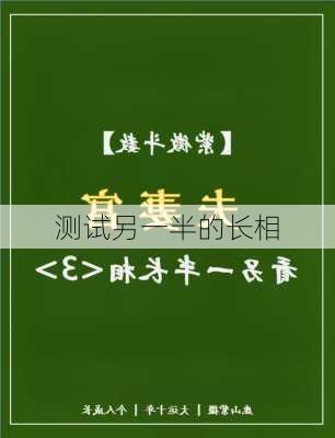 测试另一半的长相