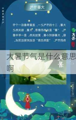 大暑节气是什么意思啊