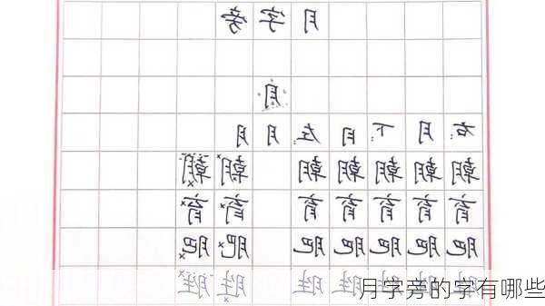 月字旁的字有哪些