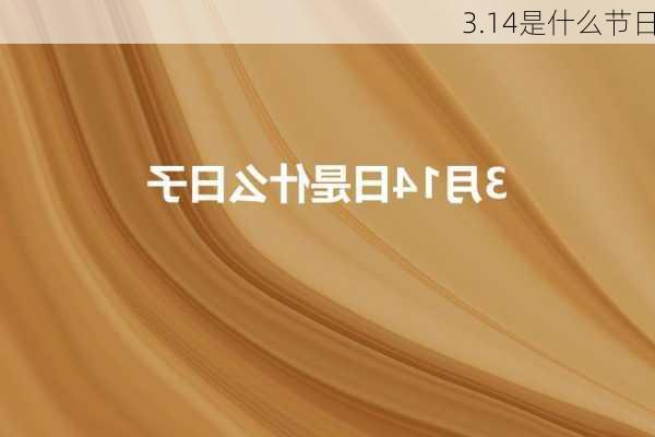 3.14是什么节日