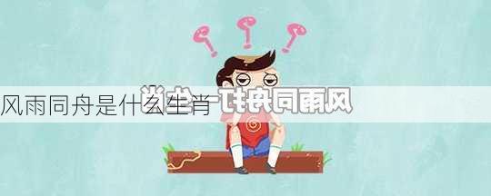 风雨同舟是什么生肖