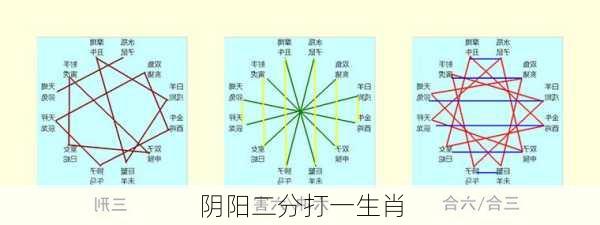 阴阳二分打一生肖