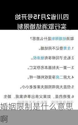 婚姻限制是什么意思啊