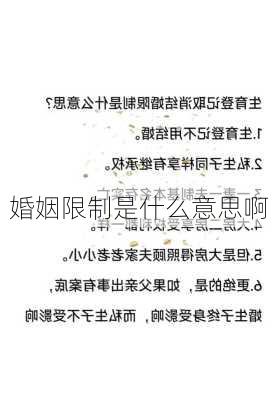 婚姻限制是什么意思啊