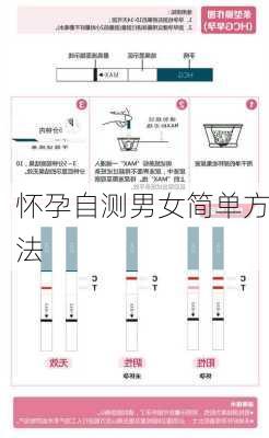 怀孕自测男女简单方法