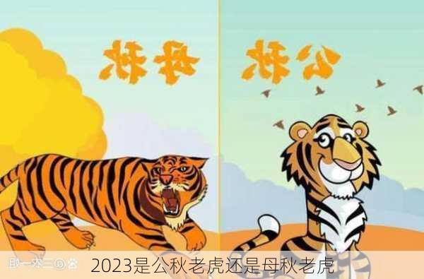 2023是公秋老虎还是母秋老虎