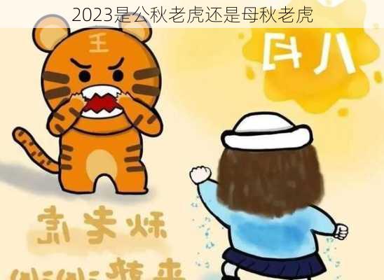 2023是公秋老虎还是母秋老虎