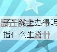 子午线上办得明指什么生肖