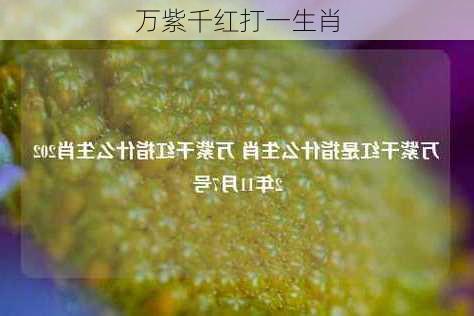 万紫千红打一生肖