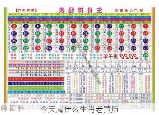 今天属什么生肖老黄历