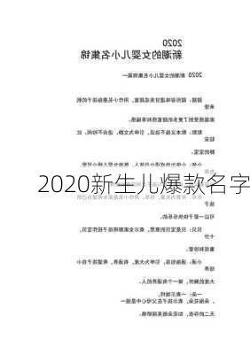 2020新生儿爆款名字