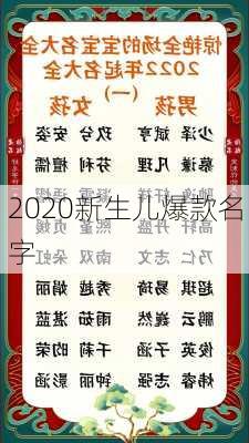 2020新生儿爆款名字