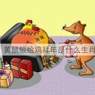 黄鼠狼给鸡拜年是什么生肖