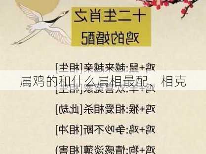 属鸡的和什么属相最配、相克