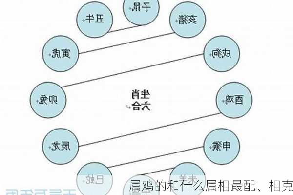 属鸡的和什么属相最配、相克