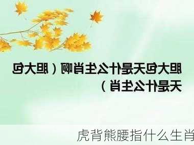 虎背熊腰指什么生肖