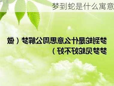 梦到蛇是什么寓意