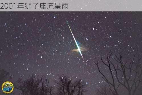 2001年狮子座流星雨