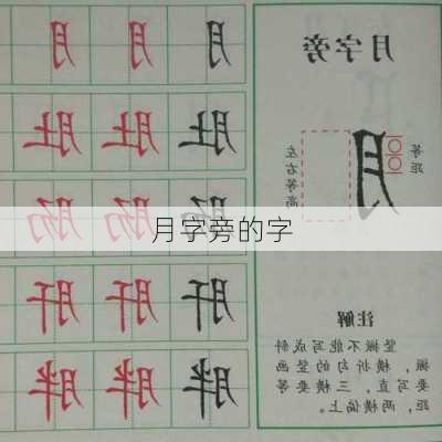 月字旁的字