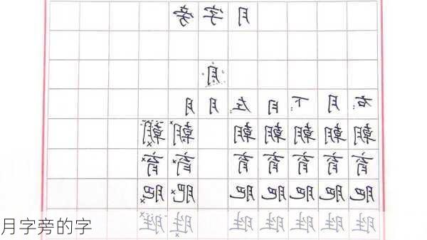 月字旁的字